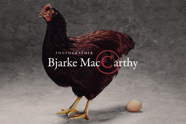 Bjarke Maccarthy designoplæg